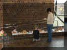 DSCN0734.JPG (1768034 bytes)
