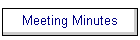 Meeting Minutes